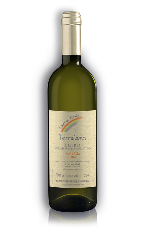 CANTINA NINNI TERRAIANO