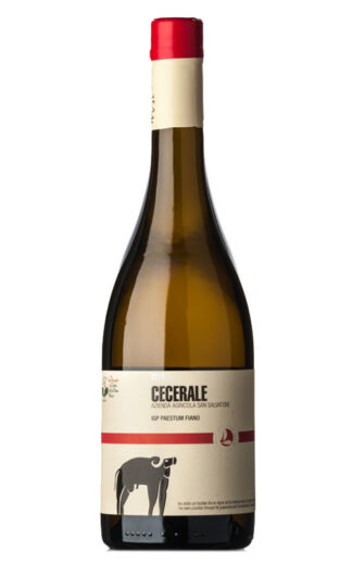 SAN SALVATORE FIANO CECERALE 2018