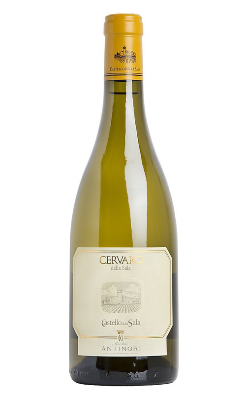 ANTINORI CERVARO DELLA SALA 2024