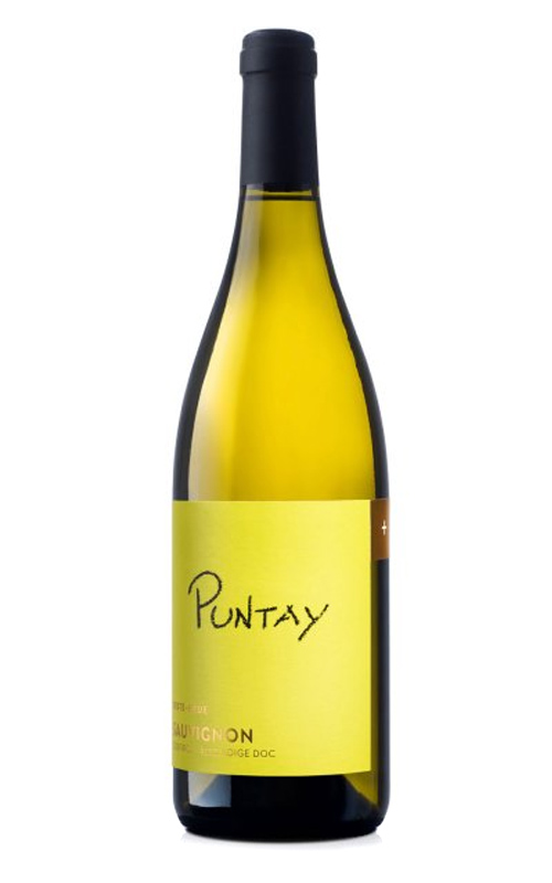 ERSTE NEUE PUNTAY SAUVIGNON
