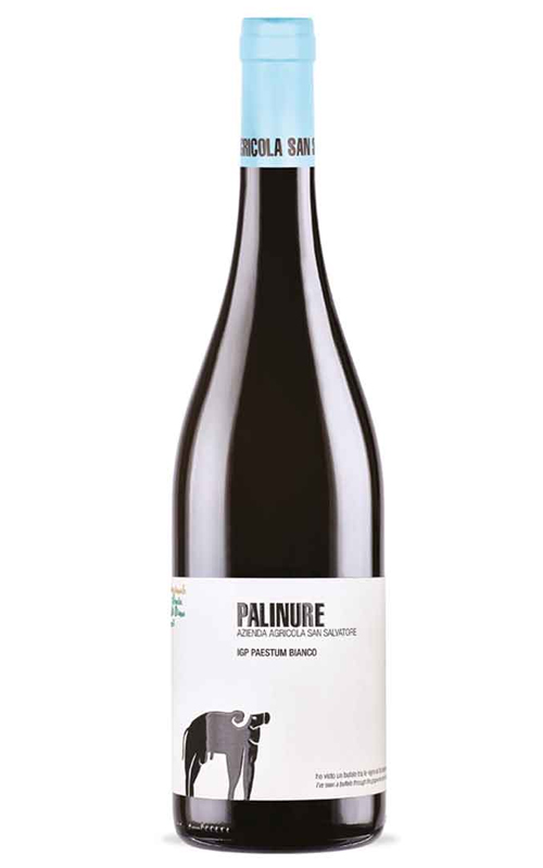 SAN SALVATORE PALINURE 2019