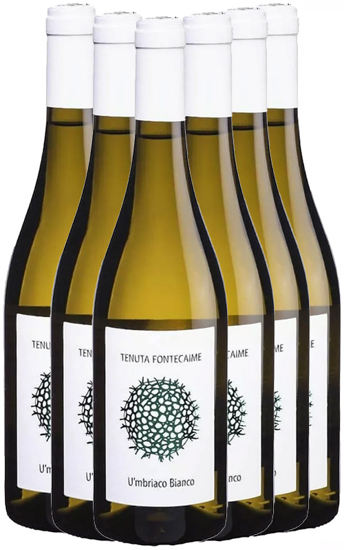 TENUTA FONTECAIME U'MBRIACO BIANCO CARTONE 6 BOTTIGLIE