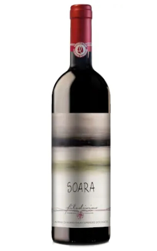 FILODIVINO SOARA LACRIMA DI MORRO D'ALBA
