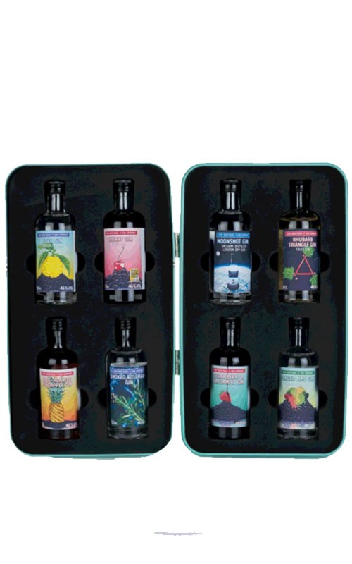 RETRO GIN FRIDGE CON 8 MIGNON 5 cl - immagine 3