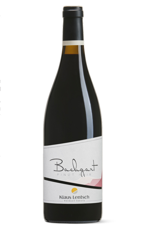 KLAUS LENTSCH PINOT NOIR BACHGART