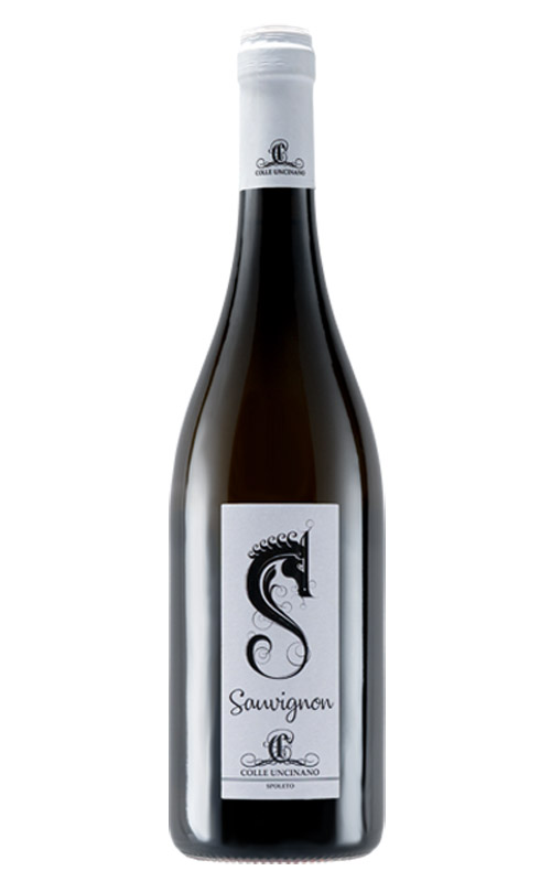 COLLE UNCINANO SAUVIGNON BLANC
